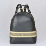 Γυναικείο Σακίδιο Πλάτης Beverly Hills Polo Club BH-4042 - Image 5